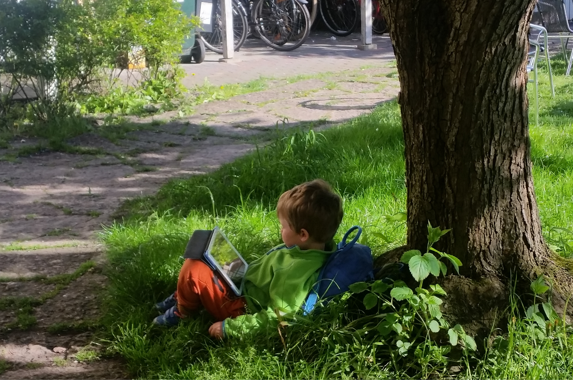 Trädplantering